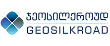 GeoSilkroad 2 Company transparent logo - Business Chamber of Asian & Gulf Countries