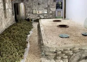 246368054_138547265175005_6010559631388365697_n