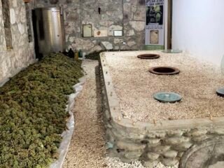 246368054_138547265175005_6010559631388365697_n