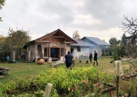 246453320_138546825175049_103595520465342643_n